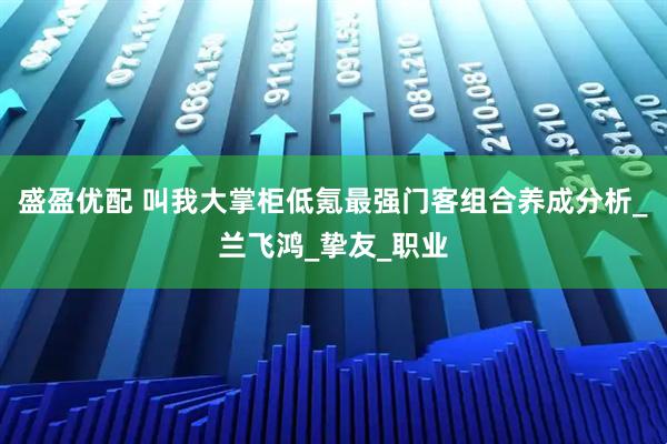 盛盈优配 叫我大掌柜低氪最强门客组合养成分析_兰飞鸿_挚友_职业